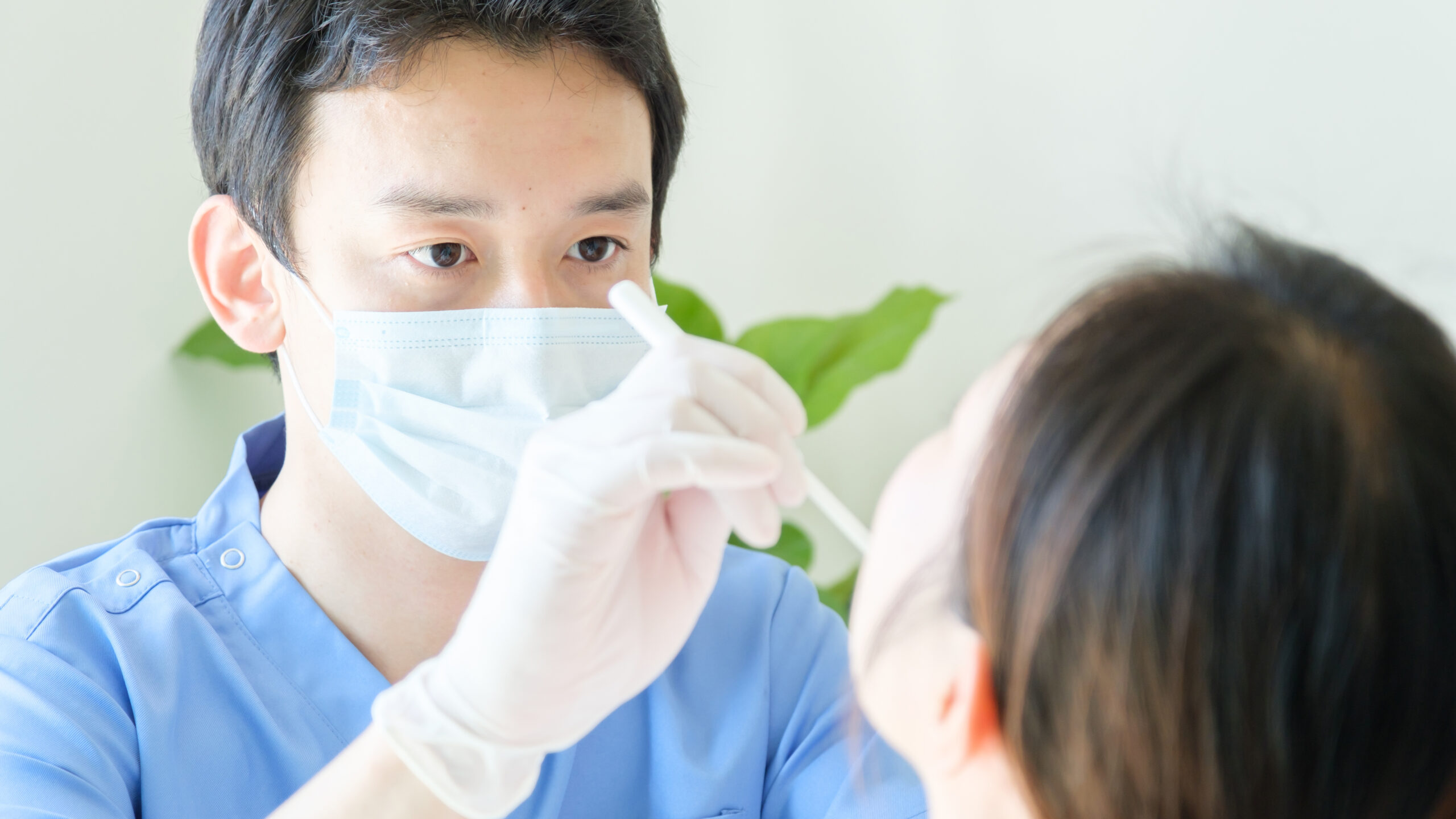 歯石取りの適切な頻度は?